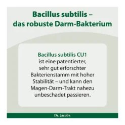 Bacillus subtilis plus Nattokinase-Enzym Vitamin K2 vegan, 60 St