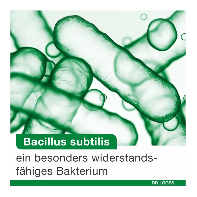 BioticLoges subtilis Kapseln, 15 St
