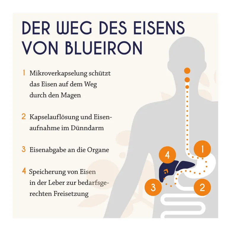 BlueIron Eisen Liquid, 250 ml