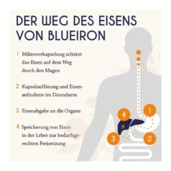 BlueIron Eisentropfen, 50 ml
