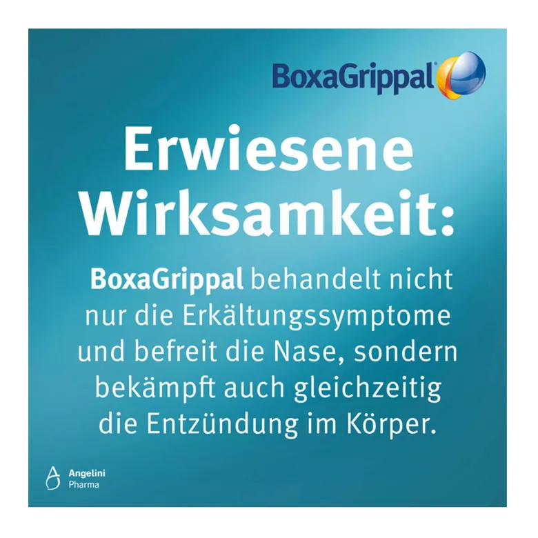 BoxaGrippal forte Erkältungstabletten 400 mg/60 mg, 12 St