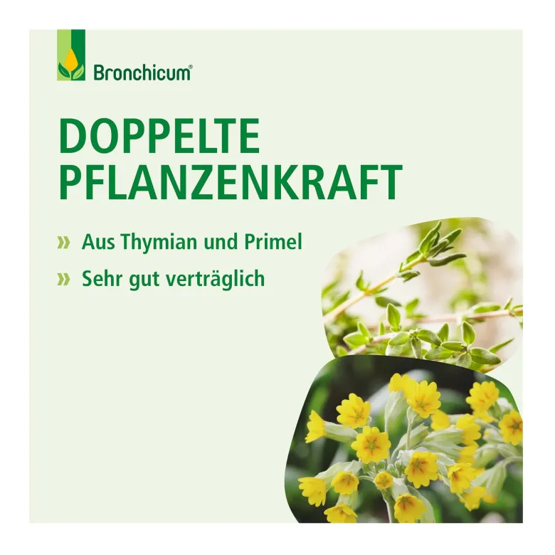 Bronchicum Tropfen, 50 ml