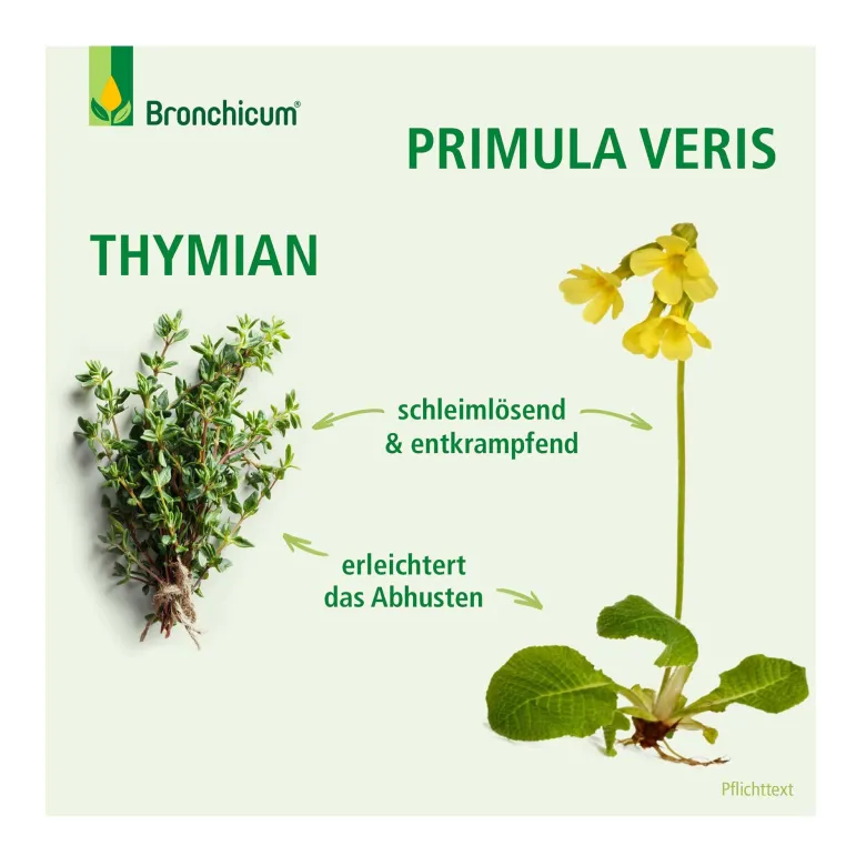 Bronchicum Tropfen, 50 ml