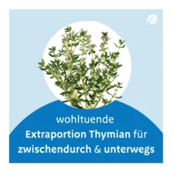Bronchipret Thymian Pastillen, 50 St