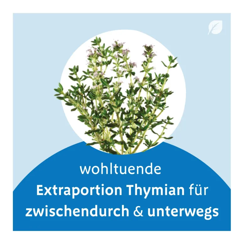 Bronchipret Thymian Pastillen, 50 St