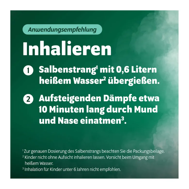 Bronchoforton Salbe, 40 g