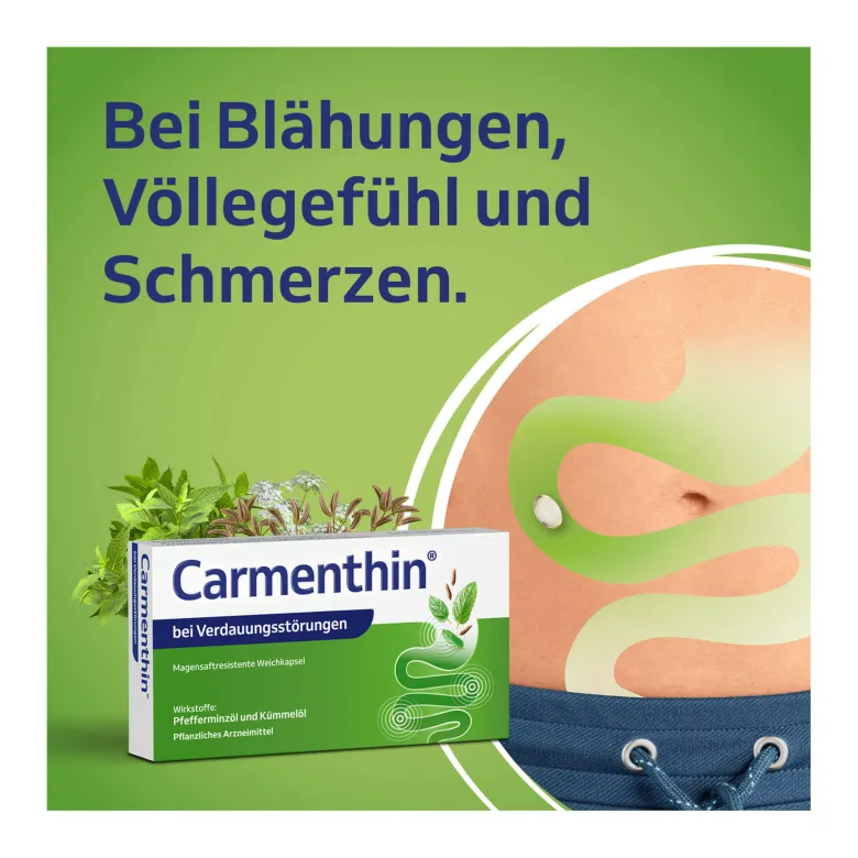 Carmenthin Weichkapseln bei Verdauungsstörungen, 84 St