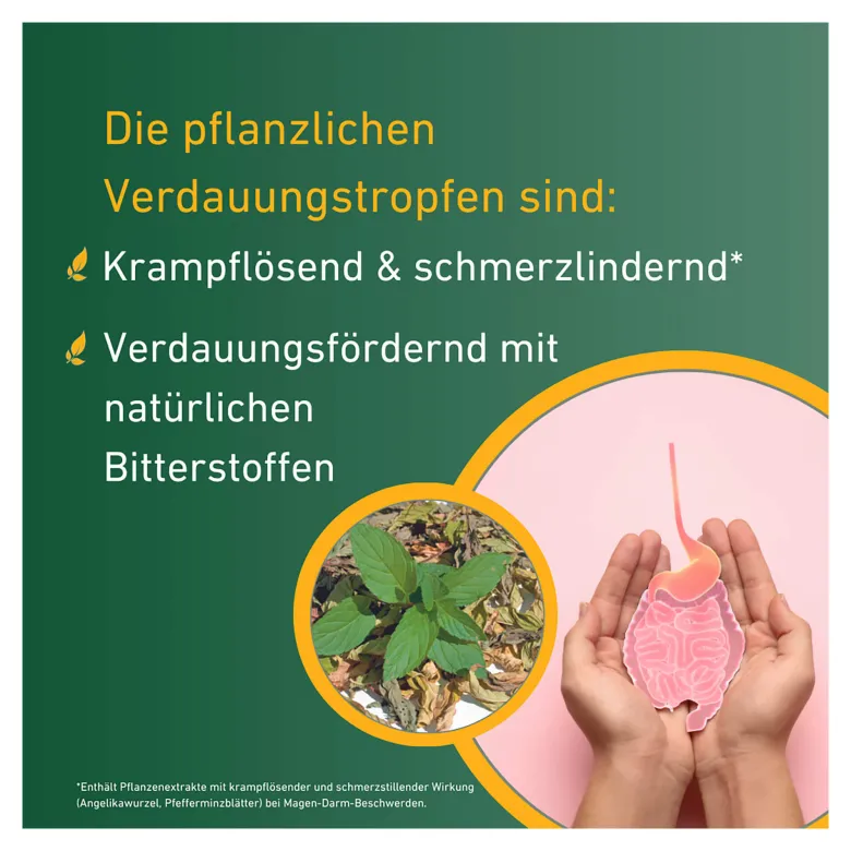Carvomin Verdauungstropfen, 50 ml