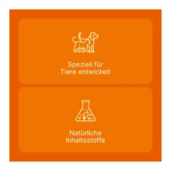 Coenzyme compositum ad us. vet. Ampullen, 10 St