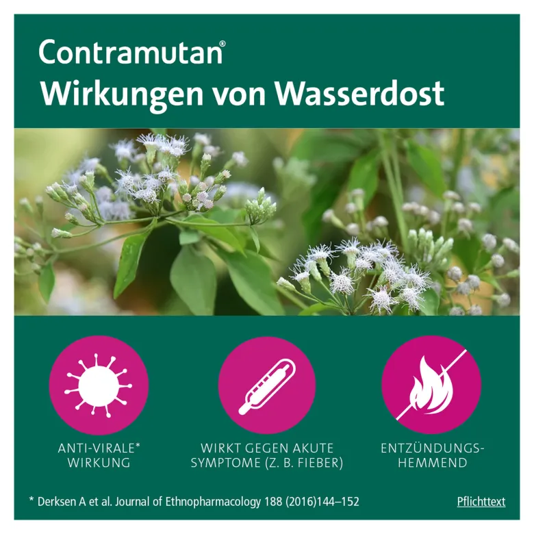 Contramutan Tabletten, 40 St