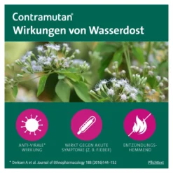 Contramutan Tropfen, 20 ml