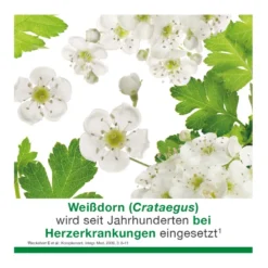 Cratae-Loges 450 mg Weißdorn Filmtabletten, 100 St