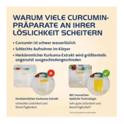 Curcumin Hevert OptiSolv Kapseln, 60 St