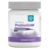 DentaSan ProbioGUM Spearmint, 30 St
