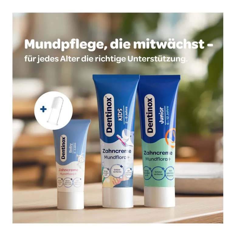 Dentinox Zahncreme Mundflora+ Junior, 75 ml