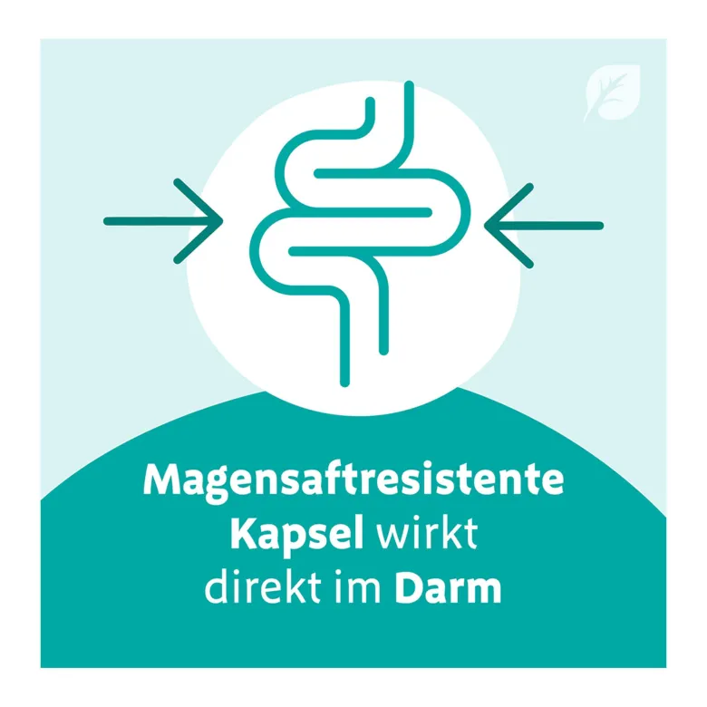 Digestopret magensaftresistente Weichkapseln, 15 St