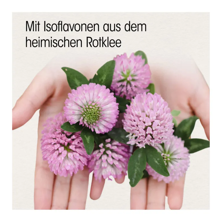 Dr. Böhm Isoflavon 90 mg Dragees, 60 St