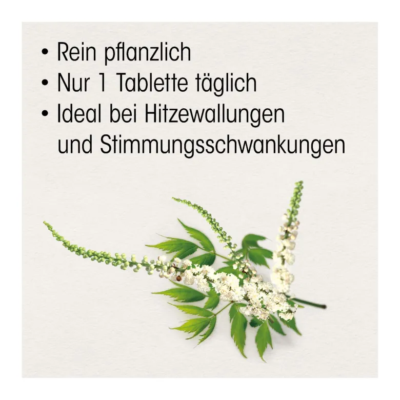Dr. Böhm Traubensilberkerze 6,5 mg Filmtabletten, 60 St
