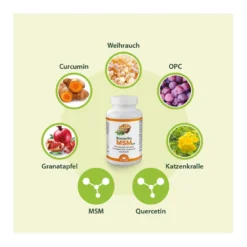 Dr. Jacob's Boswellia MSM forte Weihrauch Quercetin OPC, 90 St