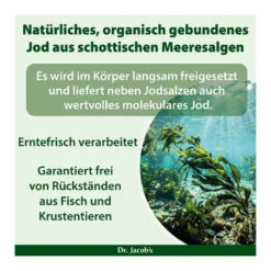 Dr. Jacob's Jod-Probio Selen B12 Milchsäurebakterien vegan, 90 St