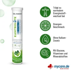 Dr. Theiss Elektrolüte Vital Brausetabletten, 20 St