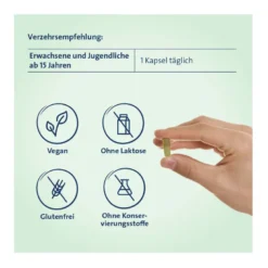 Eisen+C Hevert pflanzliche Kapseln, 60 St