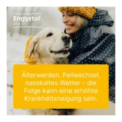 Engystol T ad us. vet. Tabletten, 100 St
