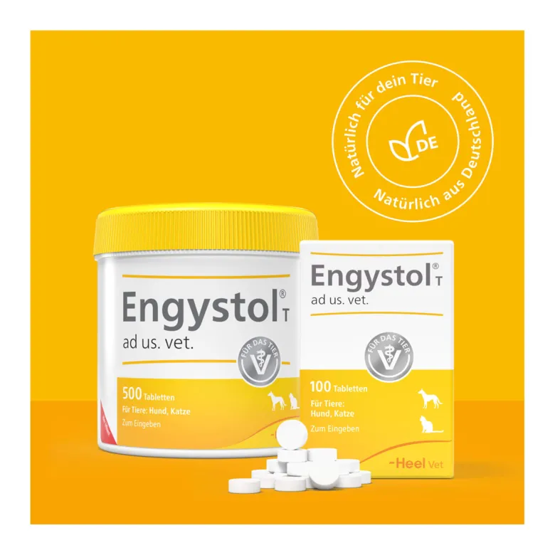 Engystol T ad us. vet. Tabletten, 100 St