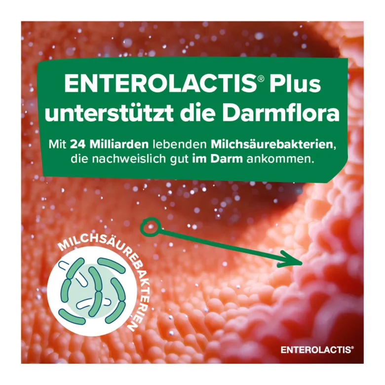 Enterolactis Plus Kapseln, 15 St