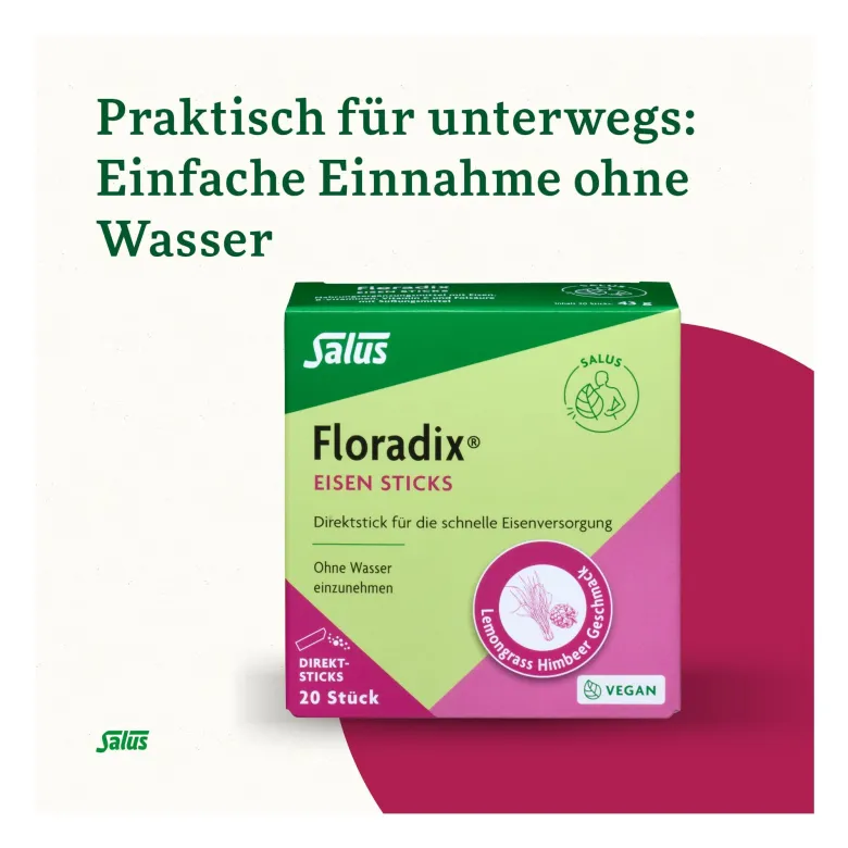 Floradix Eisen Direktsticks, 20 St