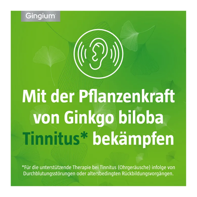 Gingium 120 mg Filmtabletten, 120 St