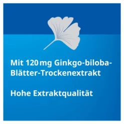 Ginkgo Stada 120 mg Filmtabletten, 120 St