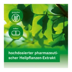 Ginkgovital Heumann 240 mg Filmtabletten, 30 St