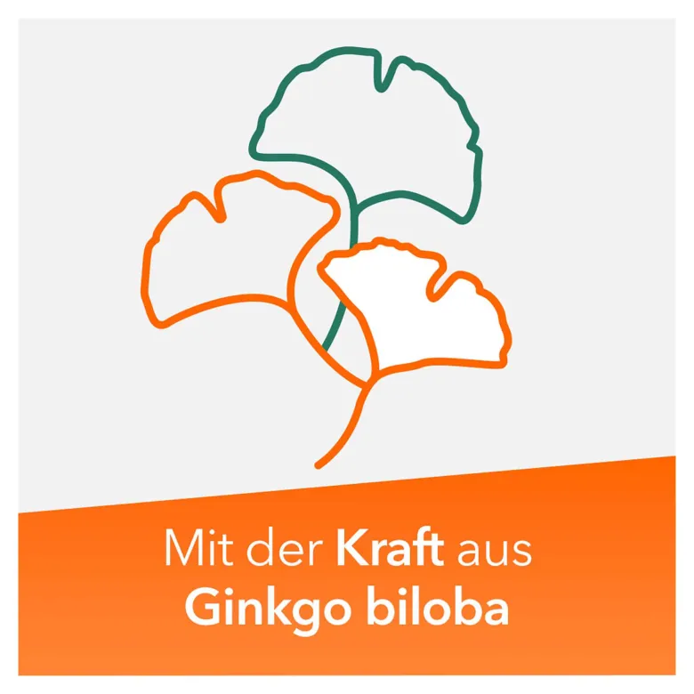 Ginkobil ratiopharm 240 mg, mit Ginkgo biloba, 60 St
