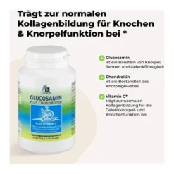 Glucosamin Chondroitin Kapseln, 120 St