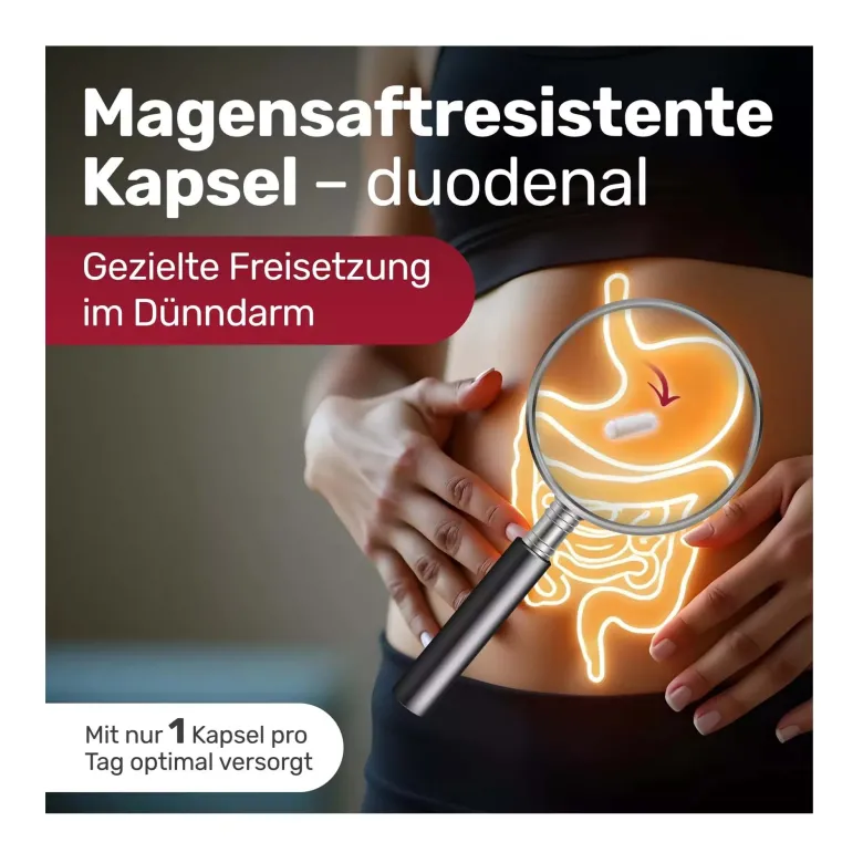 Glycowohl protect Eisen-Komplex duodenal 40 mg Kapseln, 90 St
