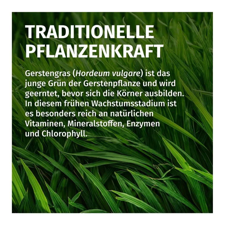 GREEN NATURALS Gerstengras 3000 mg Kapseln vegan, 240 St