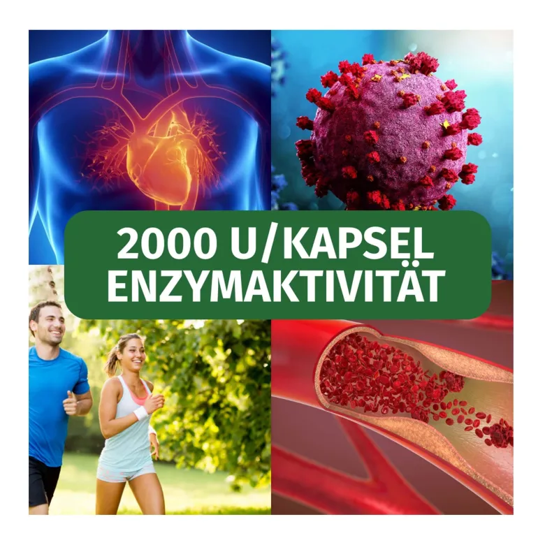 Green Naturals Nattokinase 100 mg vegane Kapseln, 365 St