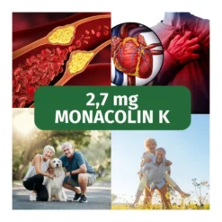 GREEN NATURALS Roter Reis Monacolin K vegane Kapseln, 180 St