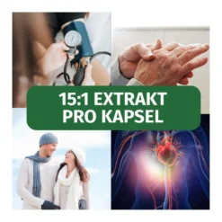 GREEN NATURALS Schwarzer Knoblauch vegane Kapseln, 180 St