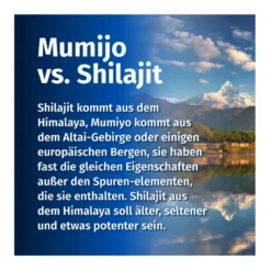 GREEN NATURALS Shilajit 1300 mg hochdosiert vegan, 180 St