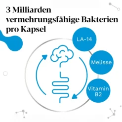 IberoBiotics Zen Kapseln, 2X14 St