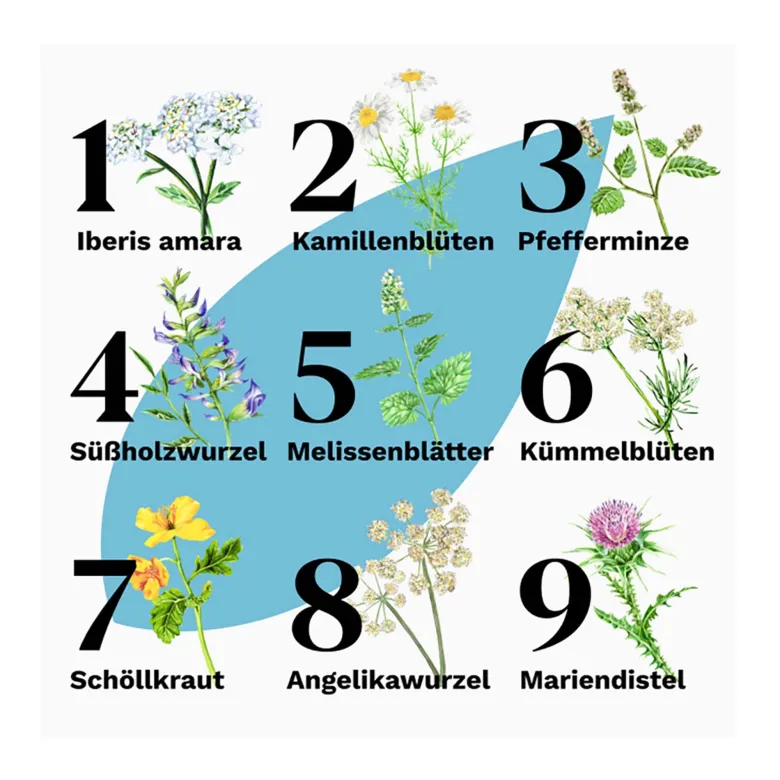 Iberogast Classic - bei akuten Magen-Darm-Beschwerden, 50 ml