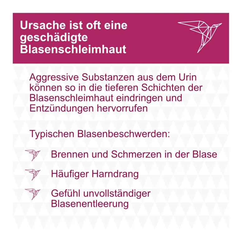 Instylan 0,16% Spüllösung, 1X50 ml