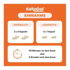 KaRaDol magensaftresistente Kapseln, 60 St