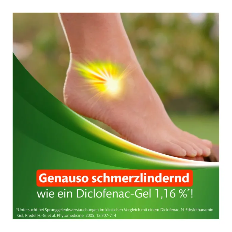 Kytta Schmerzsalbe, 50 g