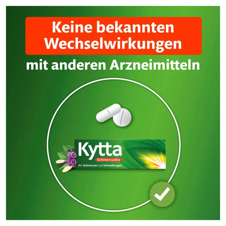 Kytta Schmerzsalbe, 50 g