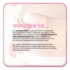 Lactobact Baby Monatspackung, 60 g