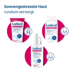 Ladival Sonnengestresste Haut Akut Spray, 150 ml