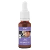 Lemon Pharma Bachblüten Tropfen N.41 Focus, 20 ml